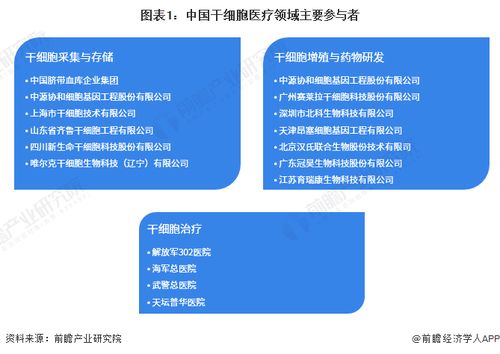 洞察2023 中国干细胞医疗行业竞争格局及企业布局 附产品布局 上市企业业绩等